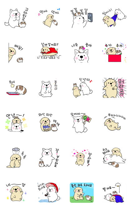 Lovely dogs and a guinea pig(Korean)