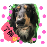 SUNI