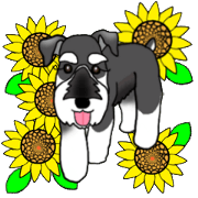 NICK THE MINIATURE SCHNAUZER Volume 3
