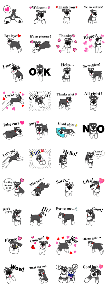 NICK THE MINIATURE SCHNAUZER Volume 3