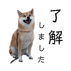 Hi I'm YUME