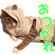 Kiraku Sticker Part5