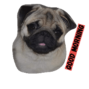 HUGPUG