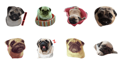 HUGPUG