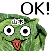 Yamamoto cabbage