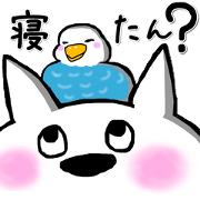 Dog's rich in expression 2 (Hiroshima)
