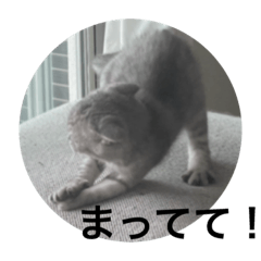 miki_20210615191104