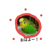 toriri-zu