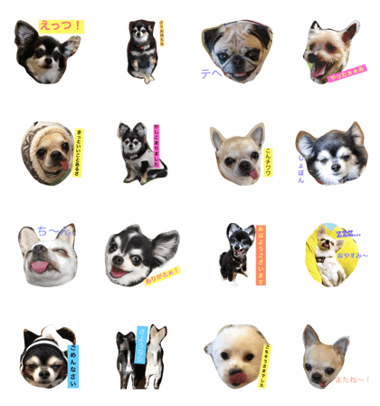 Stamp of cute dogs