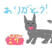 normal and cute dog