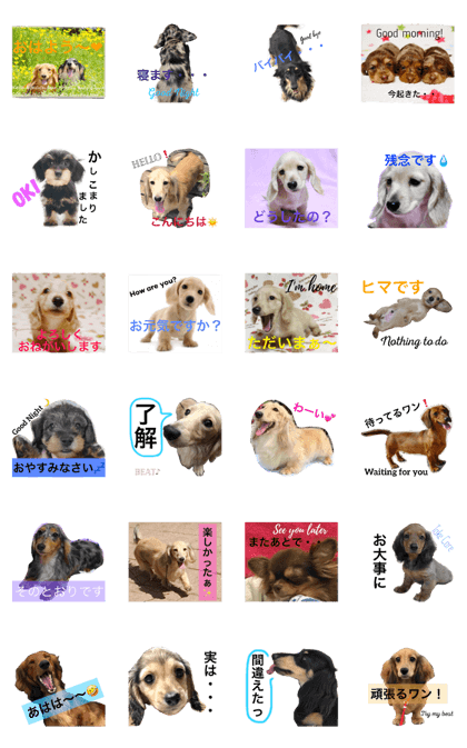 BEATKENNEL' Dog stickers