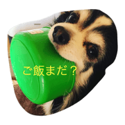 Dog.yuka