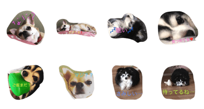 Dog.yuka