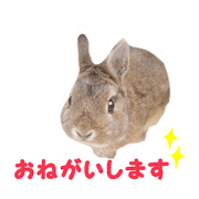 rabbit moA sticker