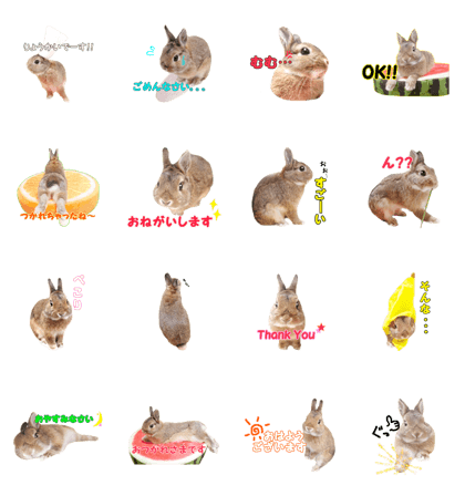 rabbit moA sticker