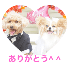 yukari_20210615200403