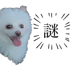 c_20210615200923