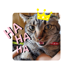 Asuka_20210615211227