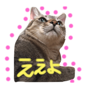 Nini to Goroumaru