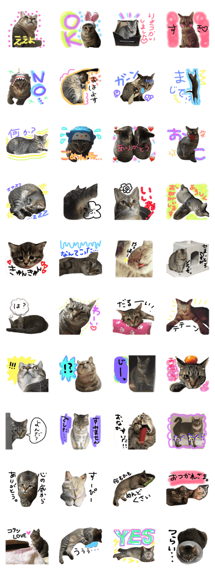 Nini to Goroumaru