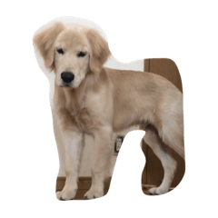 manji._20210615214924