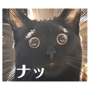 Kackey_20210615220002