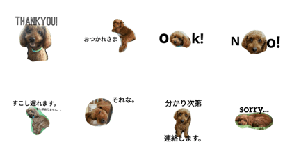 ponchanpon