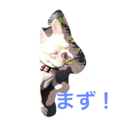 frenchi buru