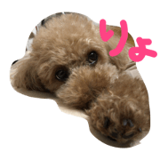 Takanokenau