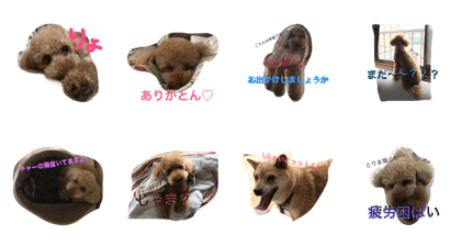 Takanokenau