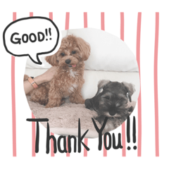 SAORI_20210615191403