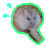 Our Hamsters