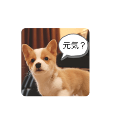 aoi_20210615193622