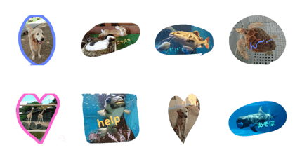 like animals