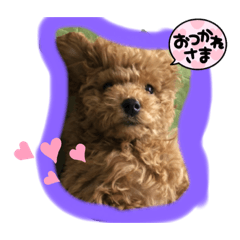 miki_20210615183208