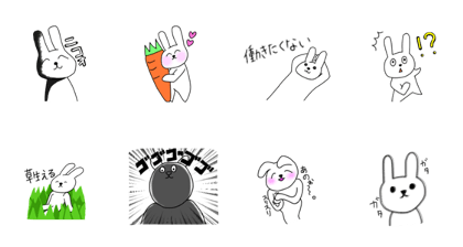 One day in rabbits