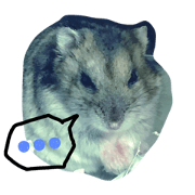 hanasuter(hamster)