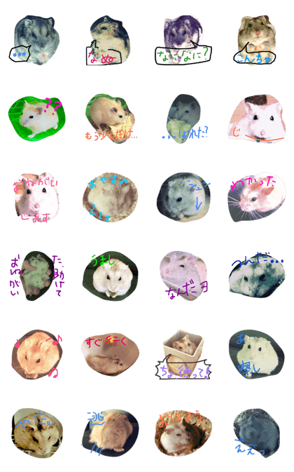 hanasuter(hamster)