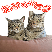 3NYANS'S Sticker