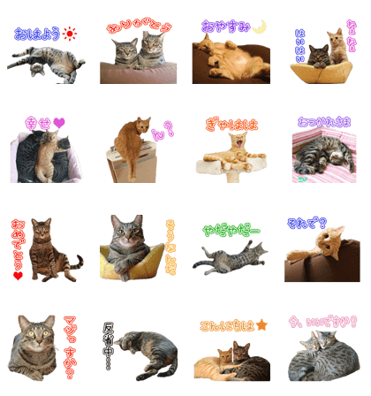 3NYANS'S Sticker
