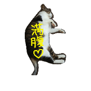 bi-san