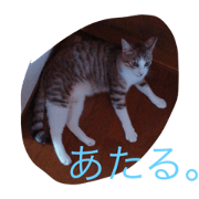 kobokobo