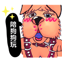 家寵-雪莉-Julia