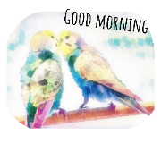 Their are cute birds.