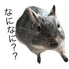 アンデスの歌うネズミ Line スタンプ Line Store