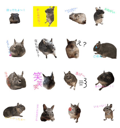 The mouse which sings of the Andes