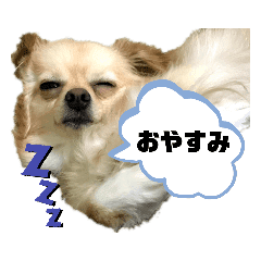 純正大特価祭 原画 ガラクタの鎧 犬 チワワ 絵画 タペストリ Naomi Com Tr 純正大特価祭 原画 ガラクタの鎧 犬 チワワ 絵画 タペストリ Naomi Com Tr