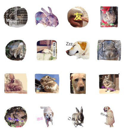 petsLove