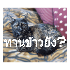 MonMon_20210615143537