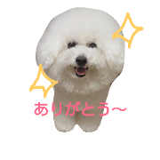 tamochan stamp